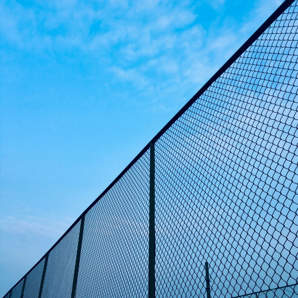 Mesh sky shot