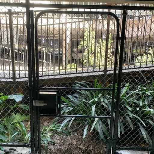 Plants behind gate Plants behind gate